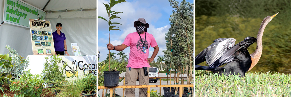 Focus-Sustainable-Environment