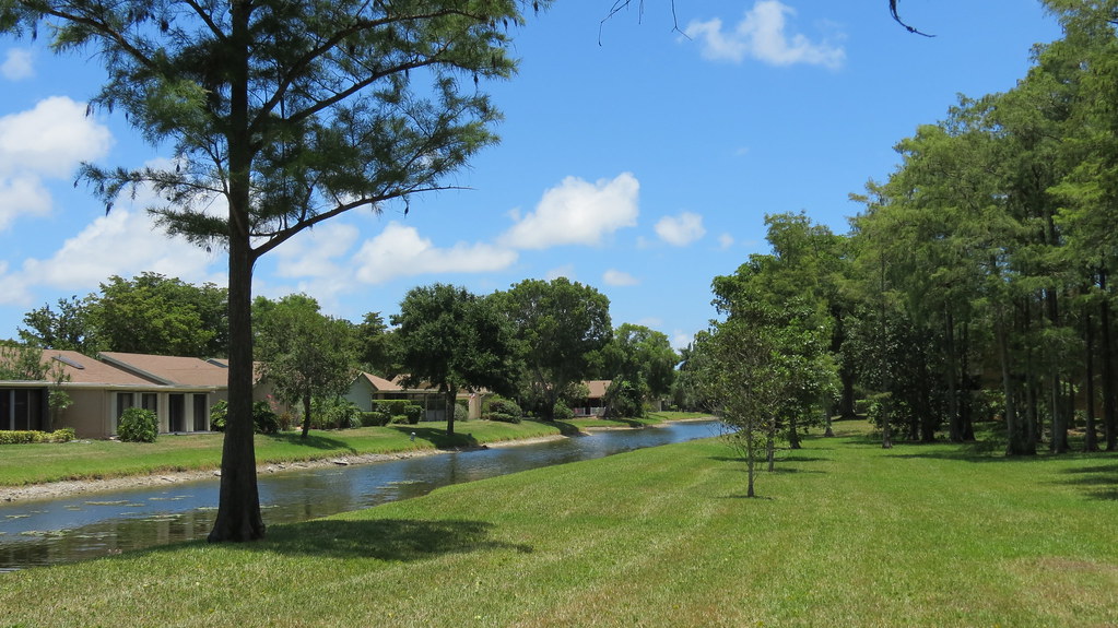 Golden Raintree Park