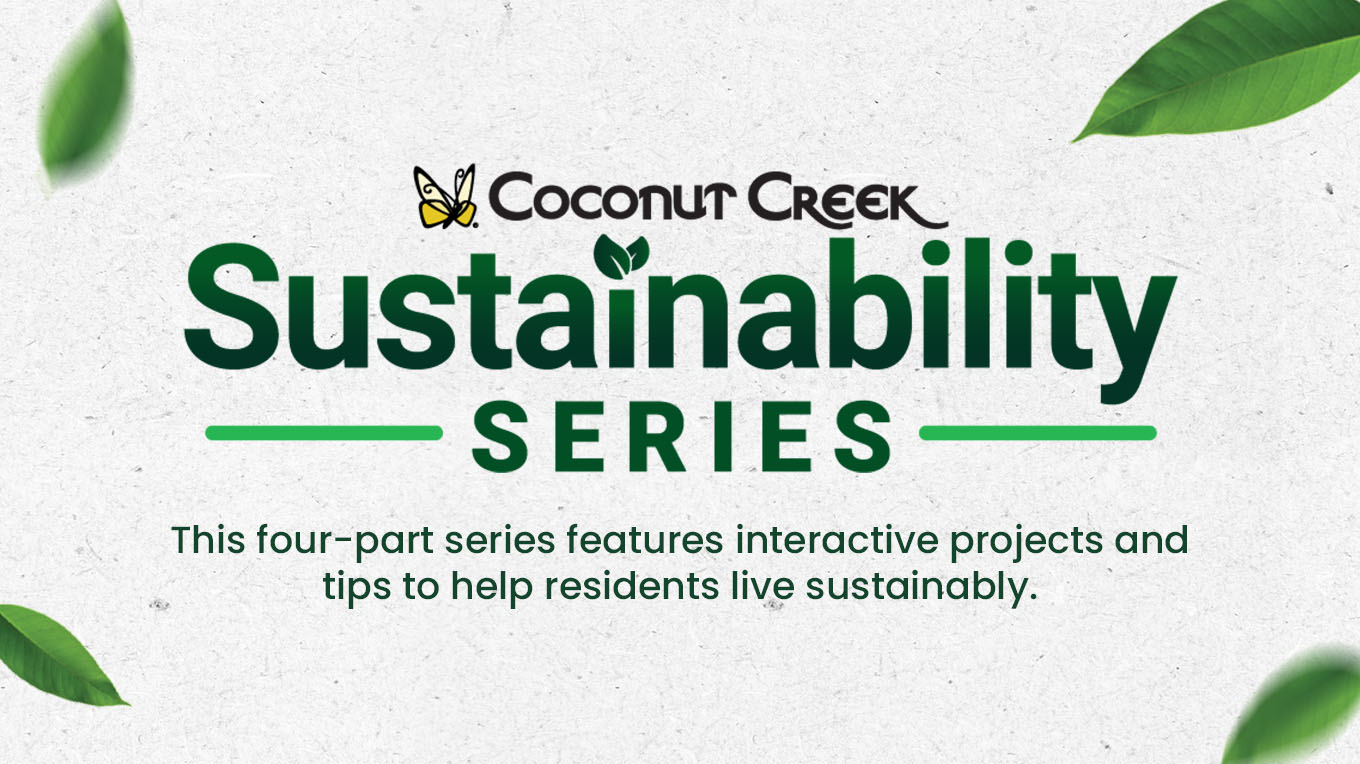 Sustainability Series