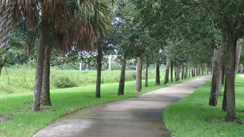 Coconut Creek - Whispering Trail