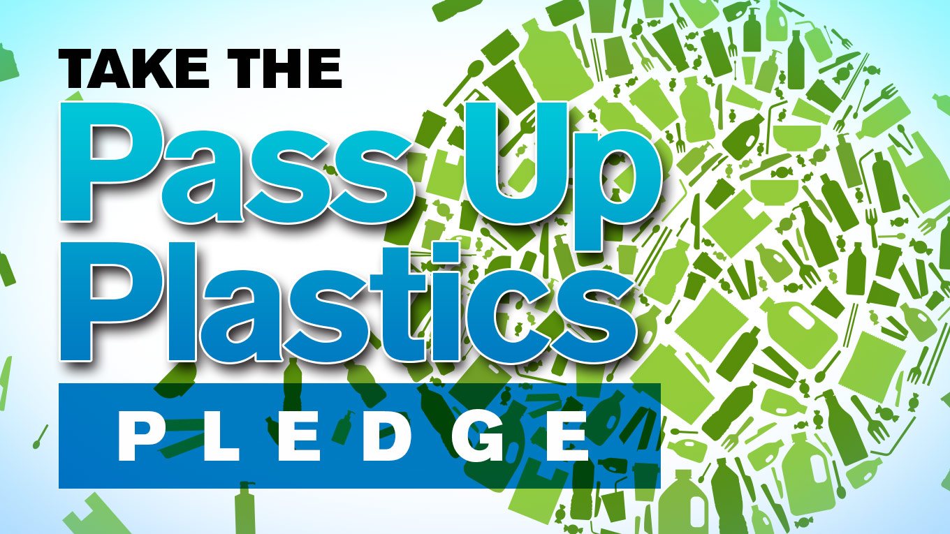 header-sd-pass-up-plastics