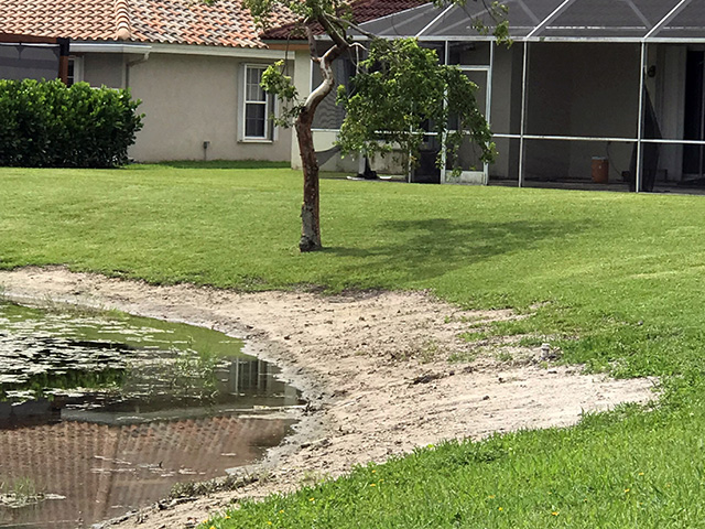 Stabilzed Earth Bank